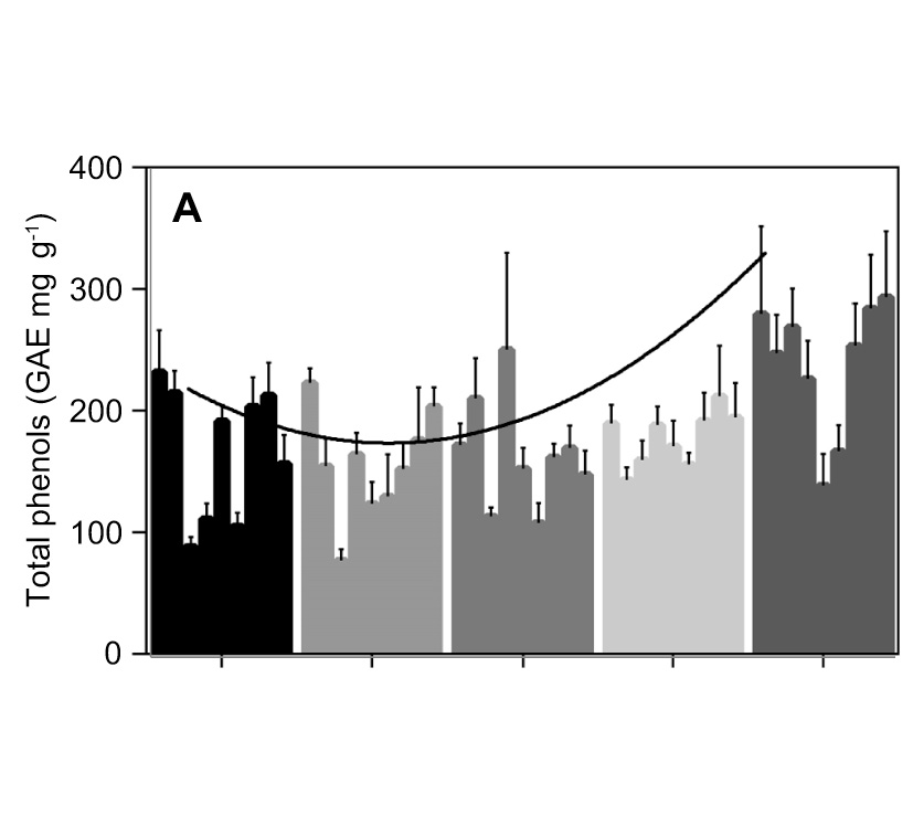 Variation of total phenolic content among seasons in Aristotelia chinensis